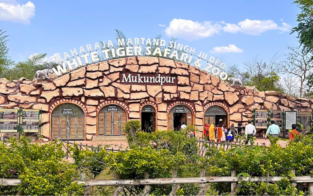 White Tiger Safari white tiger safari & zoo (1)