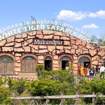 white tiger safari & zoo (1)