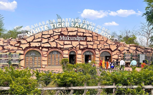 white tiger safari & zoo (1)